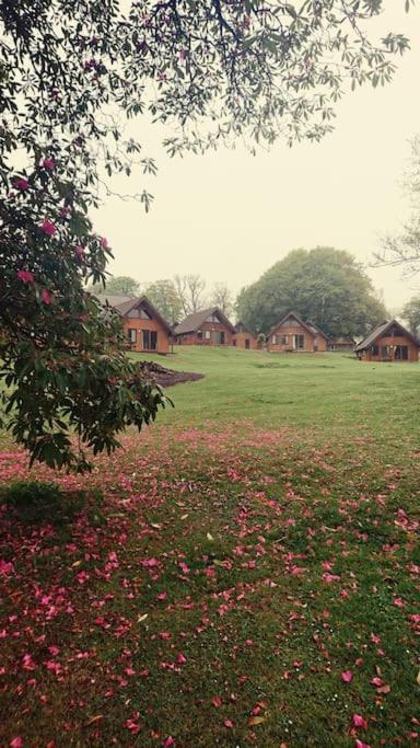 Bungalow 62,North Cornwall, St. Tudy Saint Tudy Luaran gambar